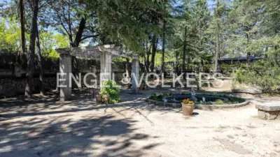 House in Colonia photo 10
