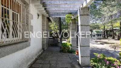 House in Colonia photo 15