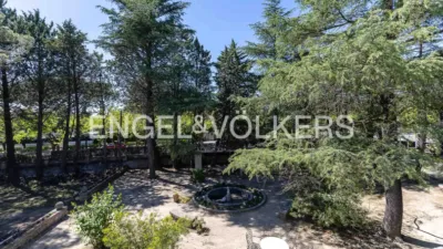 House in Colonia photo 39