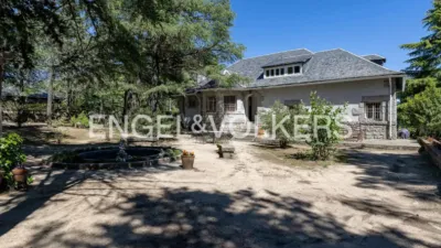 House in Colonia photo 6