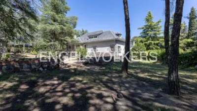 House in Colonia photo 9