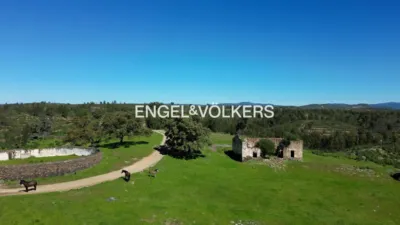 Rustic property in Las Torres-Guadalupe photo 11