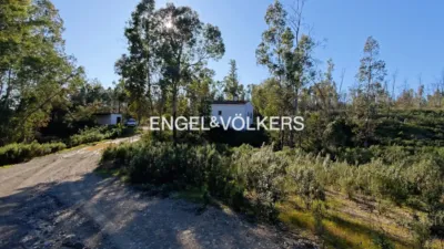 Rustic property in Las Torres-Guadalupe photo 15