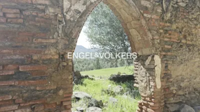 Rustic property in Las Torres-Guadalupe photo 16