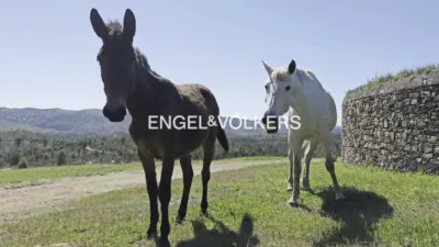 Rustic property in Las Torres-Guadalupe photo 20