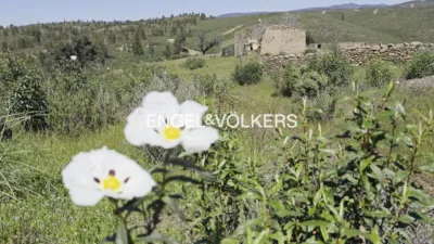 Rustic property in Las Torres-Guadalupe photo 22