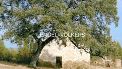 Rustic property in Las Torres-Guadalupe photo 36