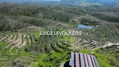 Rustic property in Las Torres-Guadalupe photo 8