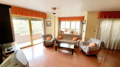 Apartment in Pont Nou photo 4