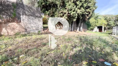 House on Carrer Major, 440 photo 20