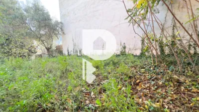 House on Carrer Major, 440 photo 28