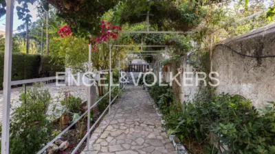 House on Carrer Major photo 57