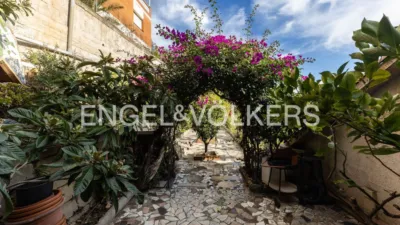 House on Carrer Major photo 12
