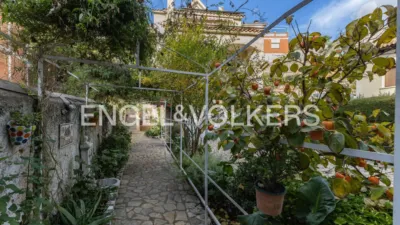 House on Carrer Major photo 16