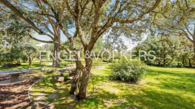 House in Puerto de Galapagar-Las Cuestas photo 36