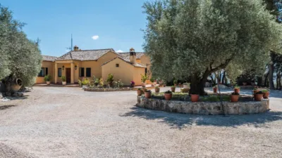 Rustic house on Calle del Serranillo photo 53