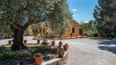 Rustic house on Calle del Serranillo photo 65