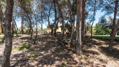 Rustic house on Calle del Serranillo photo 72