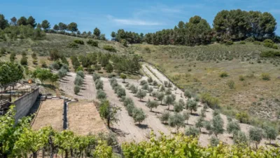 Rustic house on Calle del Serranillo photo 79