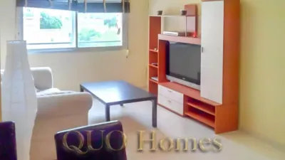 Apartment in Sur photo 19