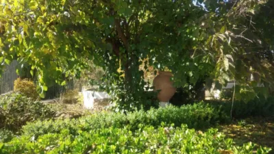 House in Villalgordo del Júcar photo 36