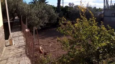 Casa – Elx - Elche - Más