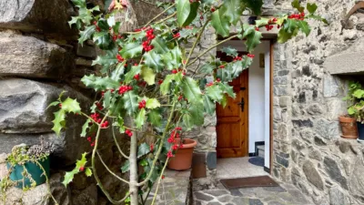 Rustic house at Camí d'Ull de Ter, 13 photo 6
