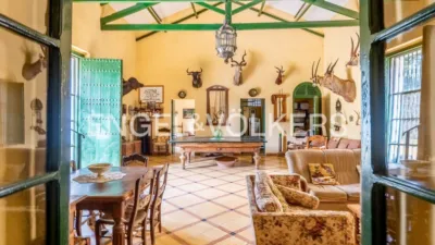Casa in Nueva Alcalá photo 18