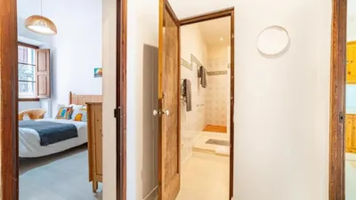 Apartment in La Seu photo 12