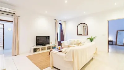 Apartment in La Seu photo 18