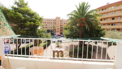 Apartamento en venta en Urbanització de Pinomar, 318, cerca de Urbanización Lomas del Polo - Vista 2