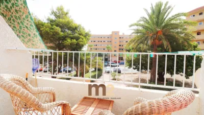 Apartamento en venta en Urbanització de Pinomar, 318, cerca de Urbanización Lomas del Polo - Vista 4