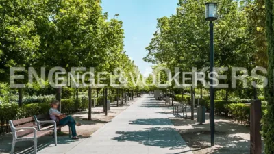 Apartamento en alquiler en Castilla - Imagen 24