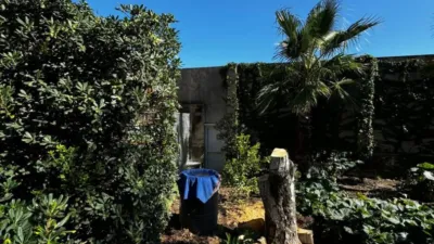House in Sant Vicenç dels Horts photo 49