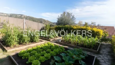 House in Calella photo 28
