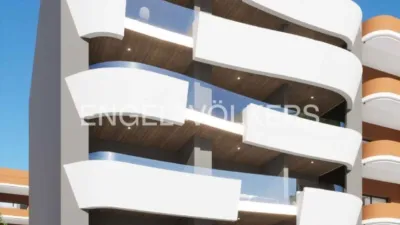 Pis – Torrevieja - Vista 4