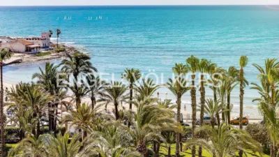 Pis – Torrevieja - Vista 5