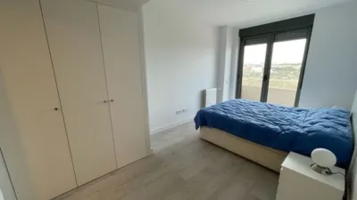 Apartment on Avenida del Maestro José Garberi Serrano photo 20