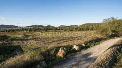Rustic property in Puigmoltó-Viñedos-Can Macià photo 69