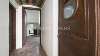 Rustic property in Puigmoltó-Viñedos-Can Macià photo 16