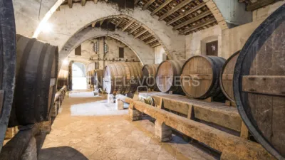 Rustic property in Puigmoltó-Viñedos-Can Macià photo 7