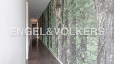 House in Parque de Boadilla photo 22