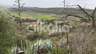Casa en Brea de Tajo photo 41