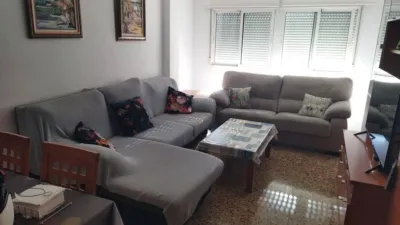 Pis – Elx / Elche, el Baix Vinalopó - Vista 3