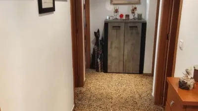 Pis – Elx / Elche, el Baix Vinalopó - Vista 4