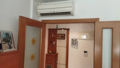 Pis – Elx / Elche, el Baix Vinalopó - Vista 5