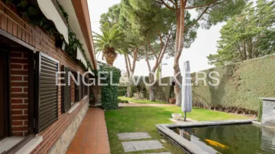 House in El Olivar de Mirabal photo 39