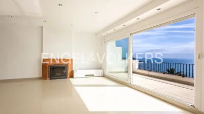 Duplex in Centre photo 3
