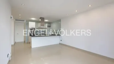 Duplex in Centre photo 47