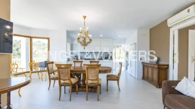 Villa in Mas Alba-Can Lloses photo 4